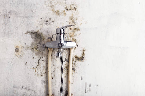 Best Office Mold Removal Services  in Lisbon Falls, ME