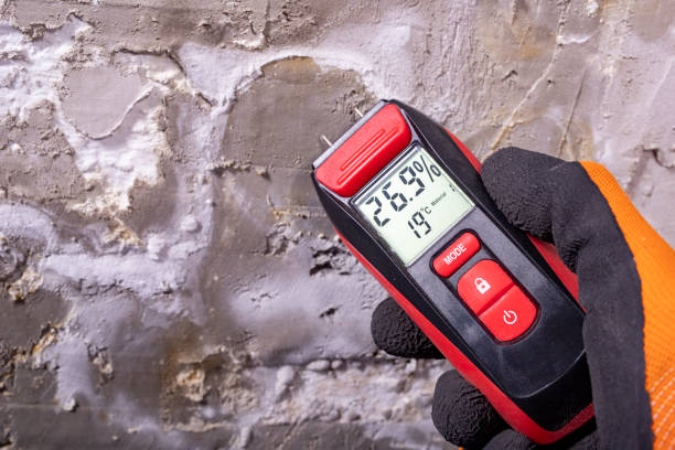 Best Mold Remediation Services  in Lisbon Falls, ME