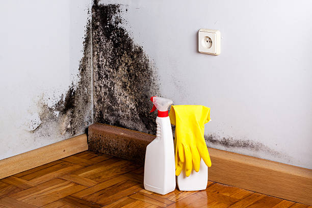 Best Crawl Space Mold Removal  in Lisbon Falls, ME
