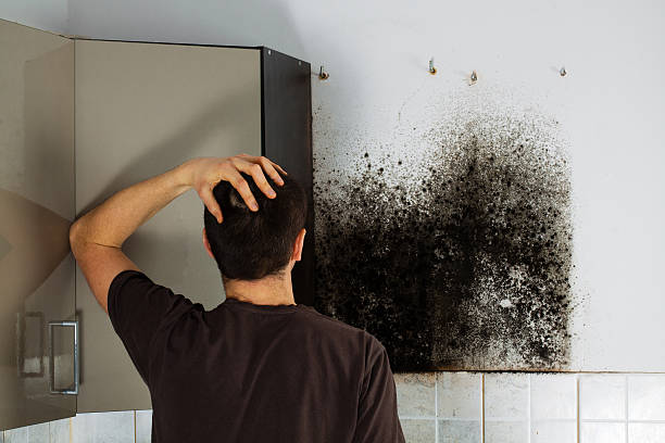 Best Office Mold Removal Services  in Lisbon Falls, ME